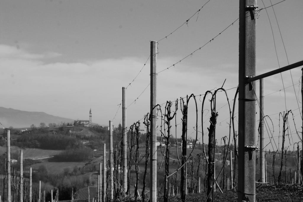 San Pietro Di Feletto Agriturismo Lemire מראה חיצוני תמונה