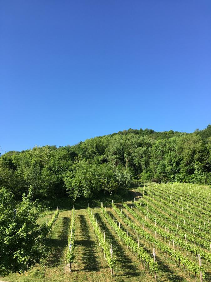 San Pietro Di Feletto Agriturismo Lemire מראה חיצוני תמונה