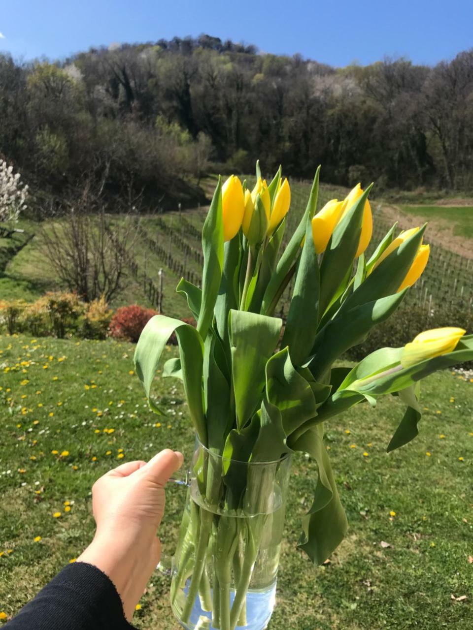 San Pietro Di Feletto Agriturismo Lemire מראה חיצוני תמונה
